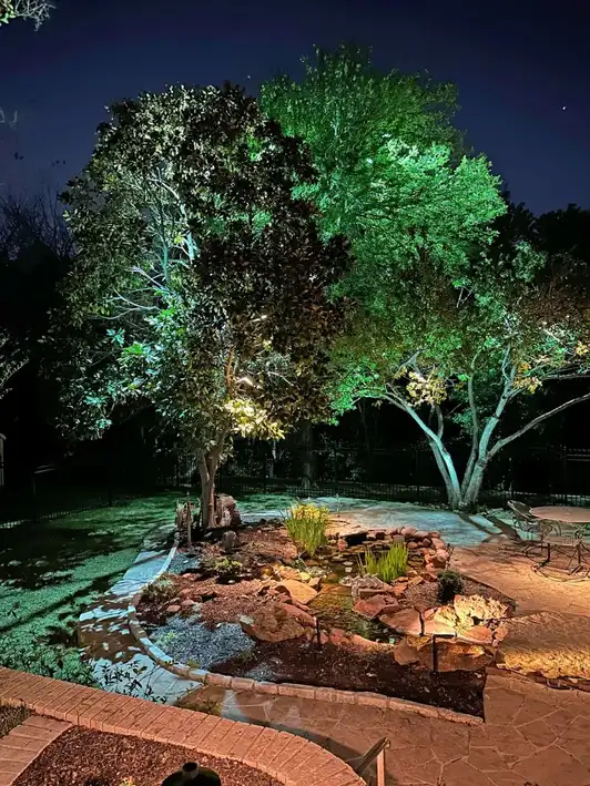 Landscape lighting by TC Lighting in Colleyville, TX — photographed after dark on the property