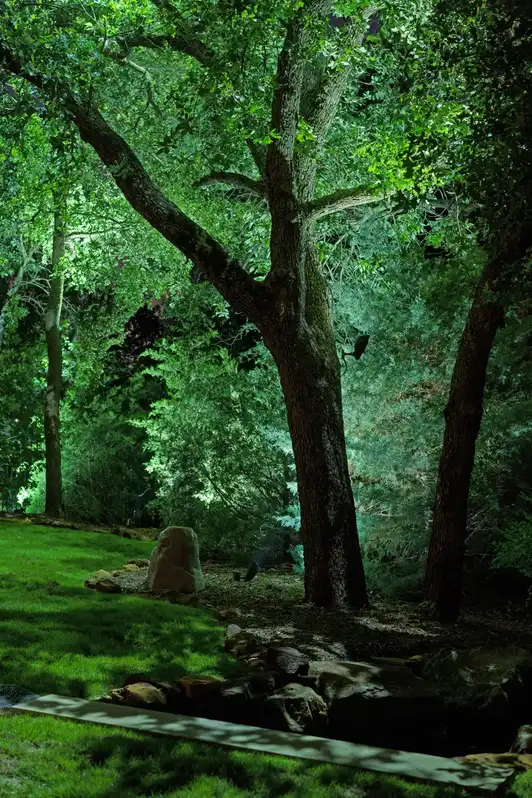 Landscape lighting by TC Lighting in Flower Mound, TX — photographed after dark on the property