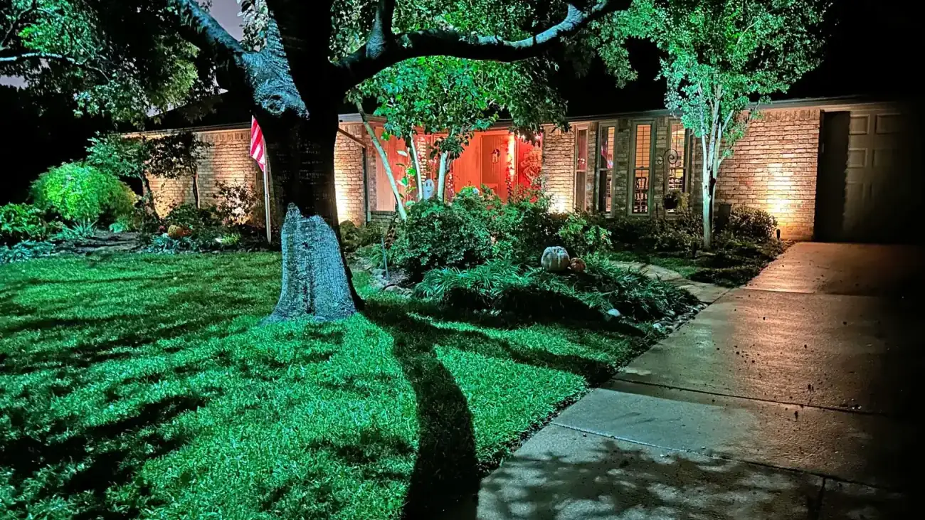 Landscape lighting by TC Lighting on an Arlington, Texas property after dark, with uplit trees and lit planting