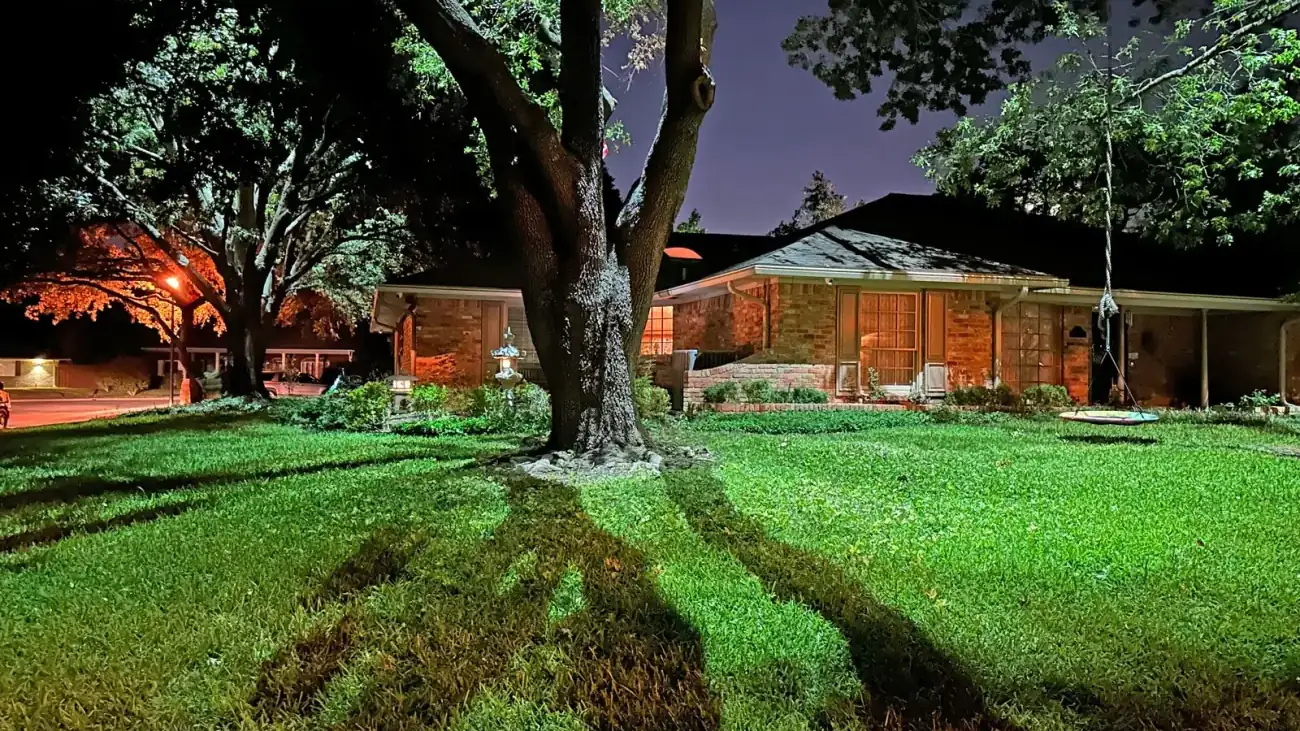Landscape lighting by TC Lighting on a Dallas, Texas property after dark — uplit trees and a warmly lit facade