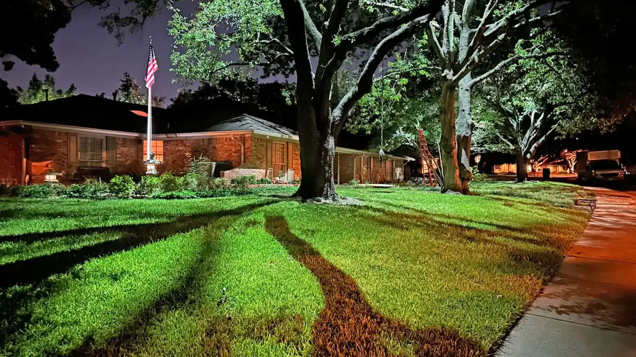 Landscape lighting by TC Lighting in Dallas, Texas — the nearest photographed work to Plano, twenty minutes south
