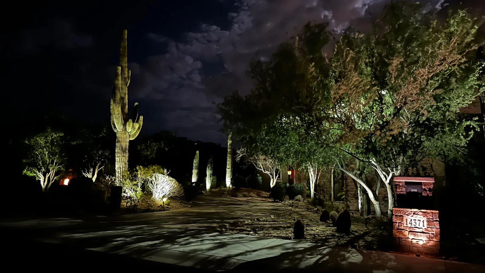 A Scottsdale, Arizona desert garden lit by TC Lighting after dark, with uplit saguaro and desert trees against a dark sky