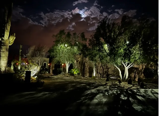 Desert garden in Scottsdale, Arizona lit after dark — uplit saguaro and palo verde against a dark sky