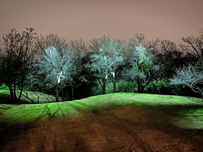 Outdoor landscape lighting Argyle Texas