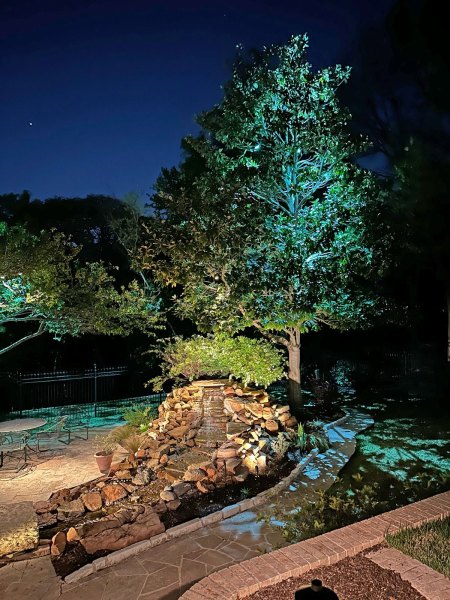 Tree landscape lighting