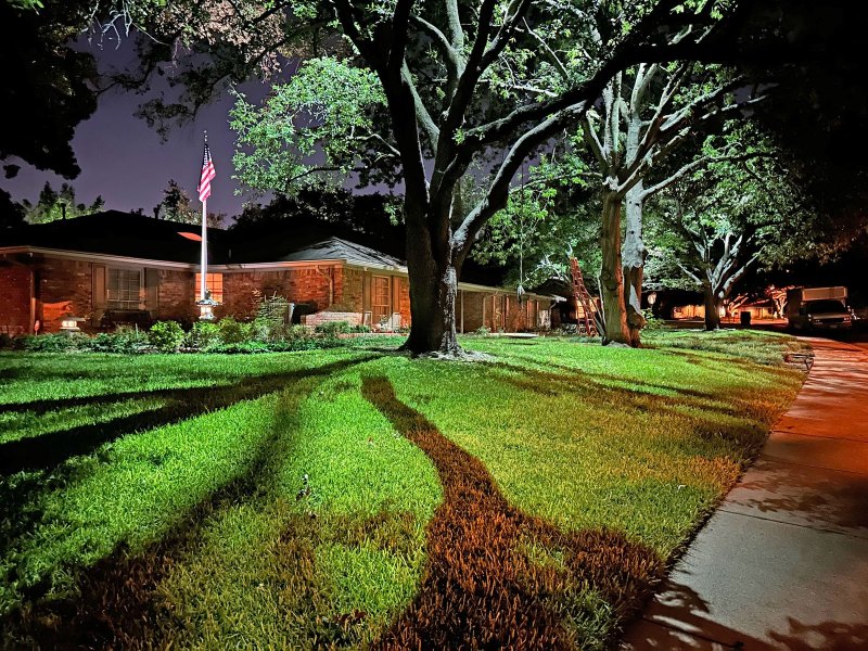 Dallas Oak Tree Landscape Lighting