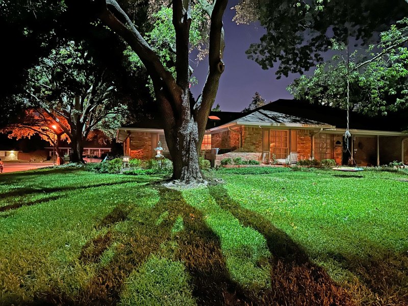 Dallas Oak Tree Landscape Lighting