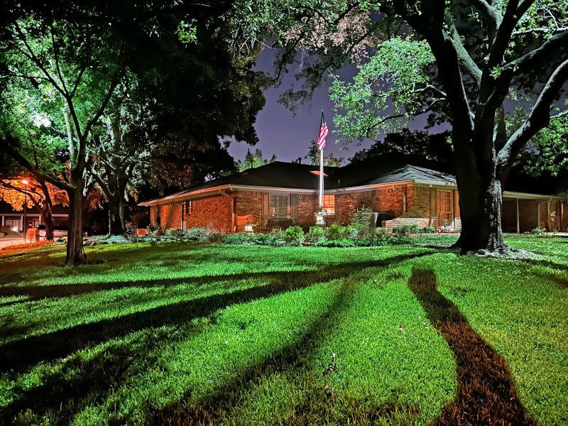 Dallas Oak Tree Landscape Lighting