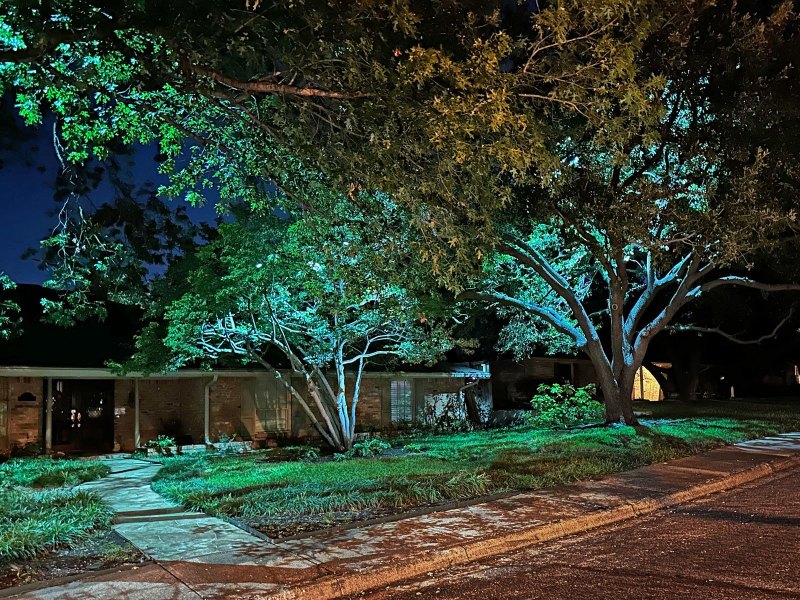 Dallas Curbside Landscape Lighting